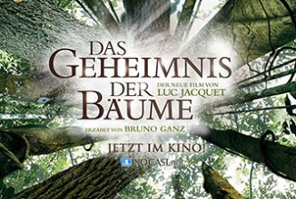 Gewinnspiel: DAS GEHEIMNIS DER BÄUME